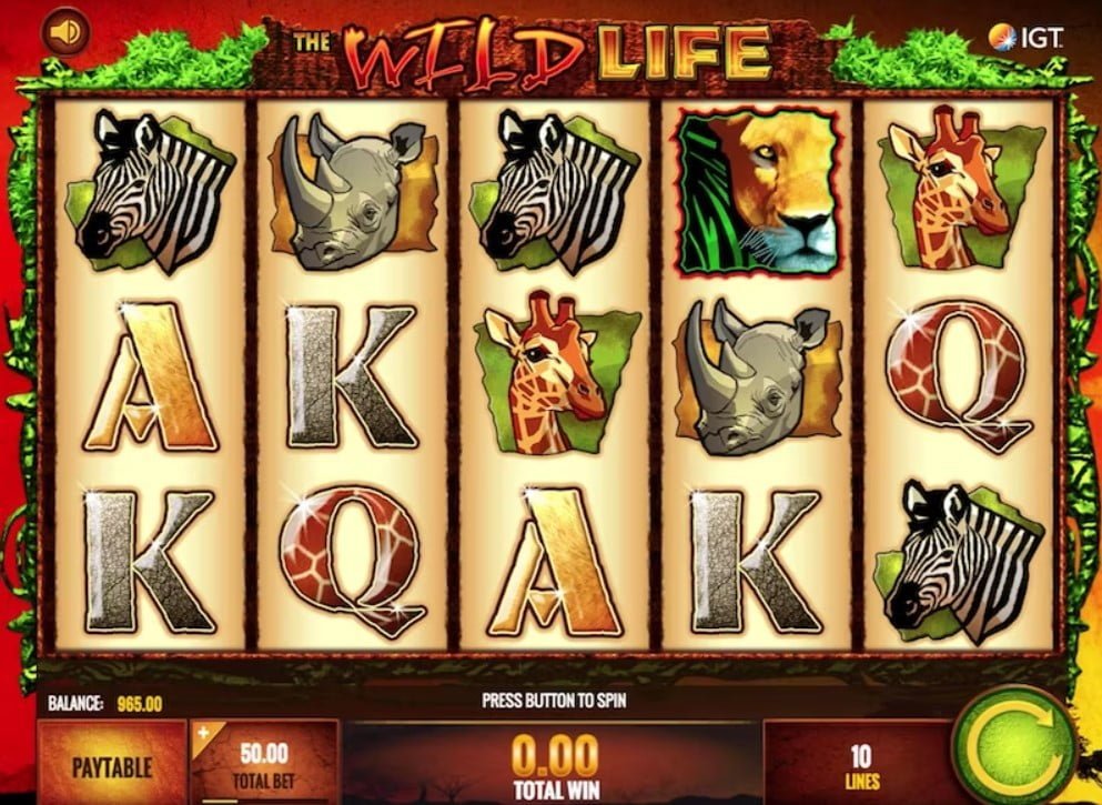 wild life slot machine game